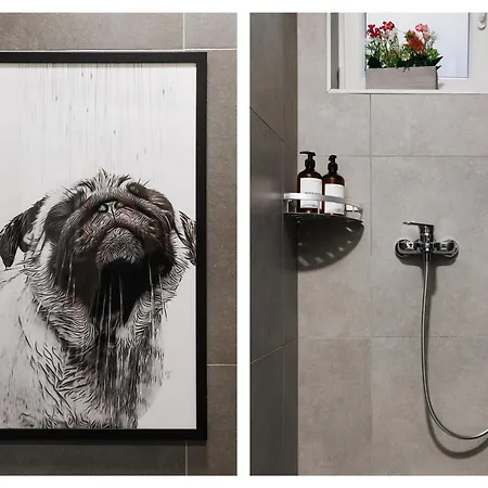 Creative Shelter 108m2 With Balcony Old Town * Belgrade